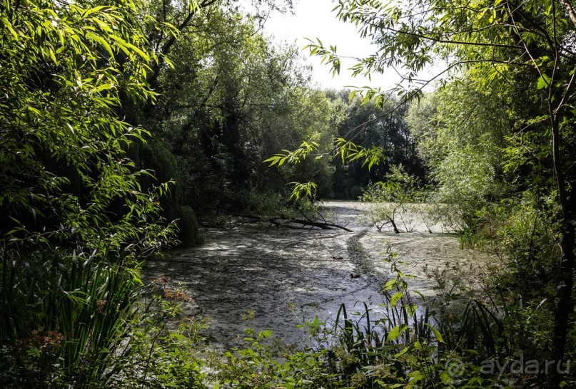 ЛЕСТЕР (LEICESTER). НА КАНАЛЕ И ОКОЛО