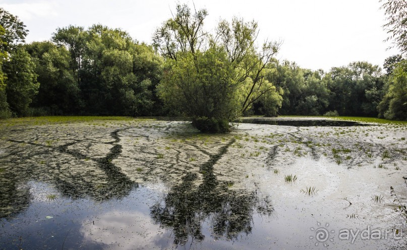 ЛЕСТЕР (LEICESTER). НА КАНАЛЕ И ОКОЛО
