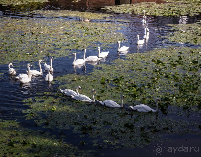 ЛЕСТЕР (LEICESTER). НА КАНАЛЕ И ОКОЛО