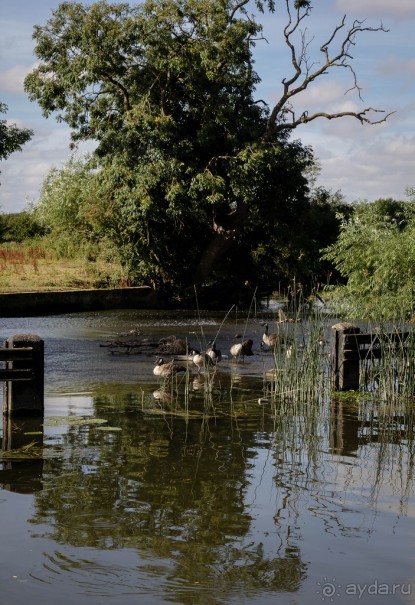 ЛЕСТЕР (LEICESTER). НА КАНАЛЕ И ОКОЛО