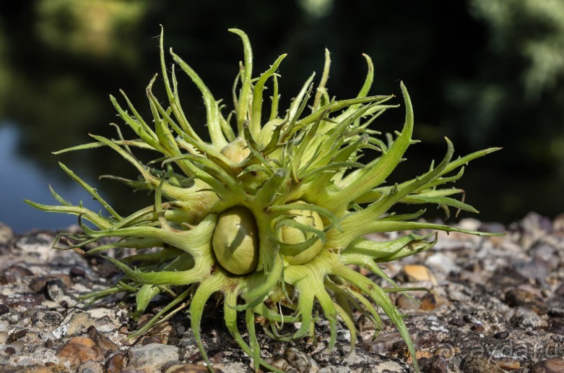 ЛЕСТЕР (LEICESTER). НА КАНАЛЕ И ОКОЛО