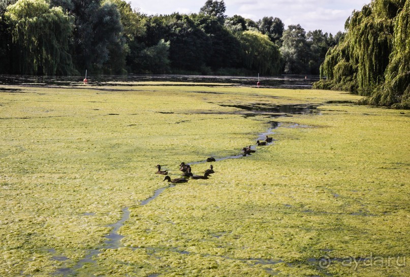 ЛЕСТЕР (LEICESTER). НА КАНАЛЕ И ОКОЛО