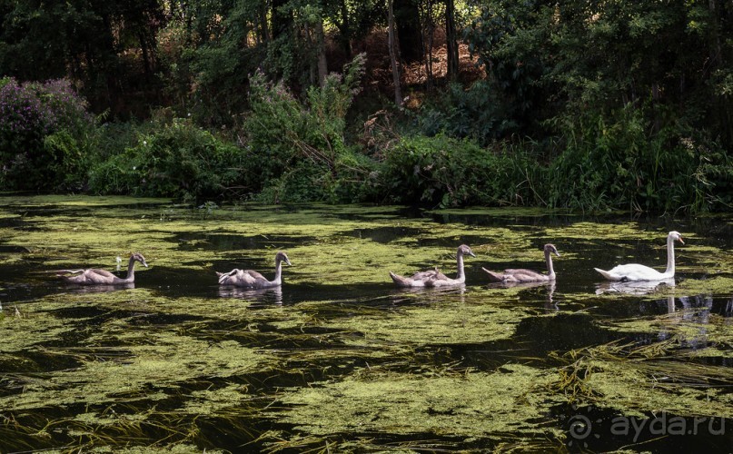 ЛЕСТЕР (LEICESTER). НА КАНАЛЕ И ОКОЛО