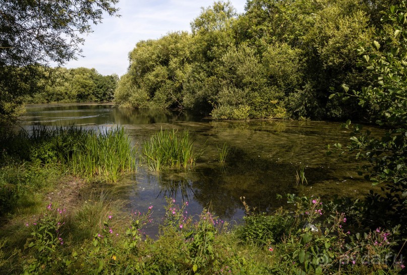 ЛЕСТЕР (LEICESTER). НА КАНАЛЕ И ОКОЛО