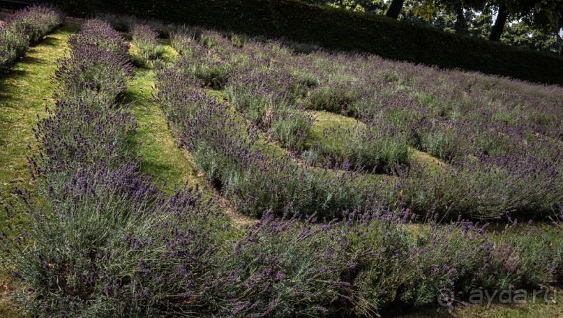 ЛЕСТЕР (LEICESTER). НА КАНАЛЕ И ОКОЛО