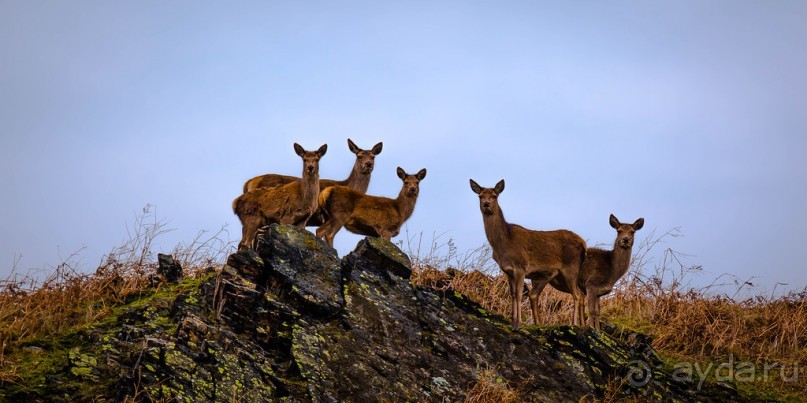 ПОСЛЕДНЕЕ ХОЛОДНОЕ ВОСКРЕСЕНЬЕ ФЕВРАЛЯ