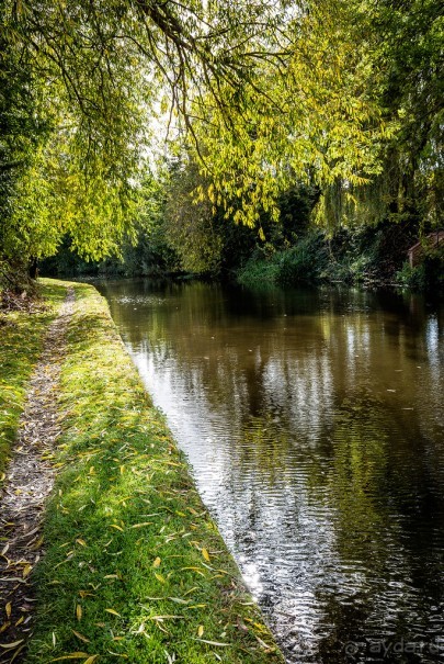 Альбом отзыва "GRAND UNION CANAL ОСЕНЬЮ"