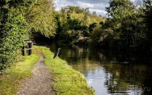 Альбом отзыва "GRAND UNION CANAL ОСЕНЬЮ"