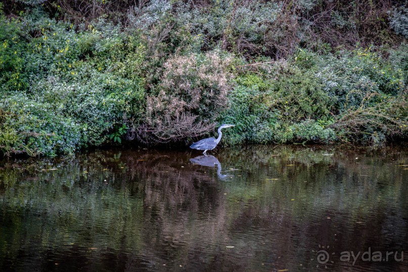 GRAND UNION CANAL ОСЕНЬЮ