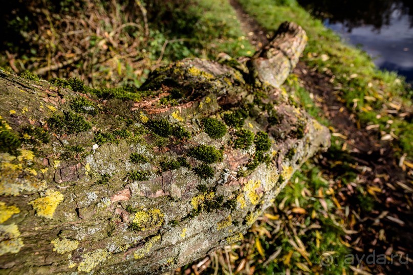 GRAND UNION CANAL ОСЕНЬЮ