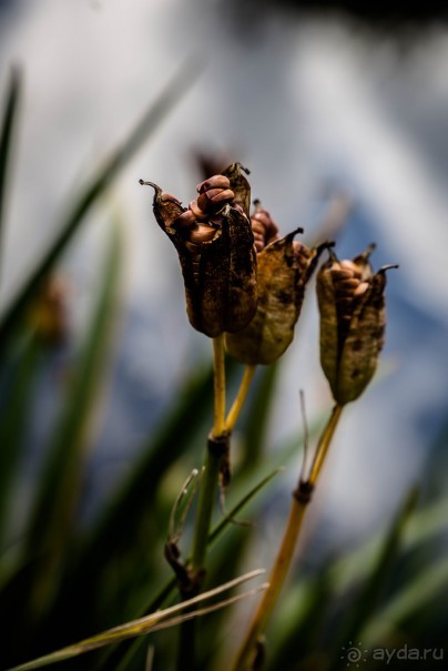 GRAND UNION CANAL ОСЕНЬЮ