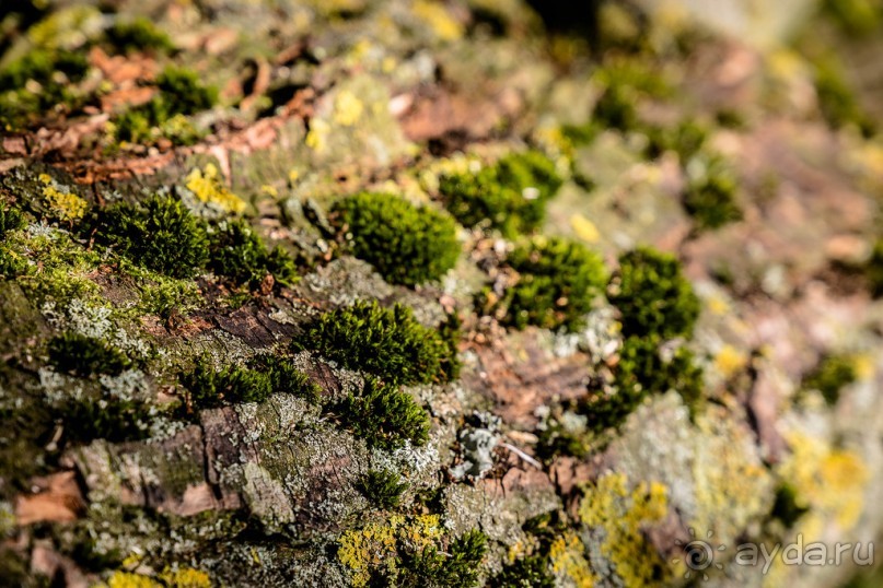 GRAND UNION CANAL ОСЕНЬЮ