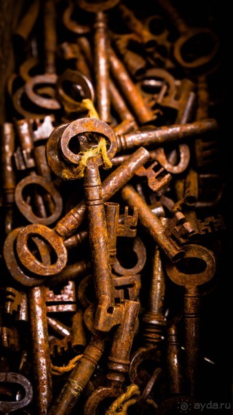 БЕССМЕРТНАЯ КЛАССИКА - РЫНОК ДИЗЕНГОФ В ТЕЛЬ АВИВЕ