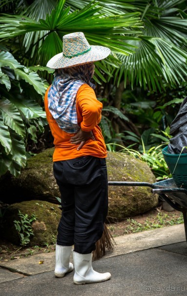БОТАНИЧЕСКИЙ САД И САД ПТИЦ НА ПХУКЕТЕ