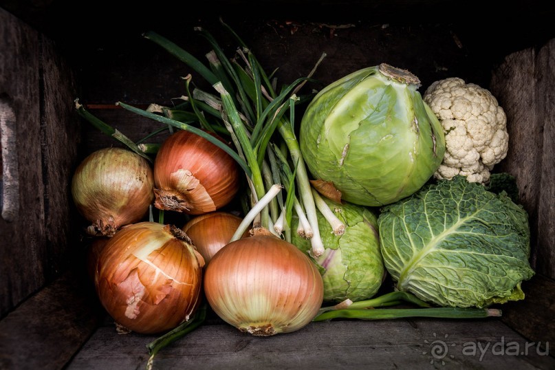 BLACK COUNTRY MUSEUM ПОД БИРМИНГЕМОМ (часть 2)