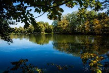НОВОДЕВИЧИЙ МОНАСТЫРЬ В МОСКВЕ И ПОДМОСКОВЬЕ ВО ВТОРОЙ ПОЛОВИНЕ СЕНТЯБРЯ
