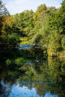 НОВОДЕВИЧИЙ МОНАСТЫРЬ В МОСКВЕ И ПОДМОСКОВЬЕ ВО ВТОРОЙ ПОЛОВИНЕ СЕНТЯБРЯ