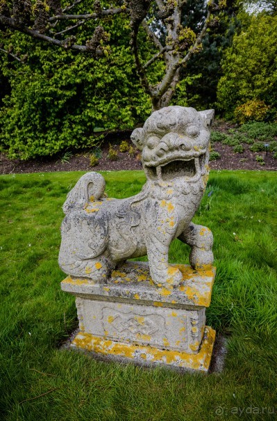 САНДРИНГАМ - ЦВЕТЫ И ПАРК