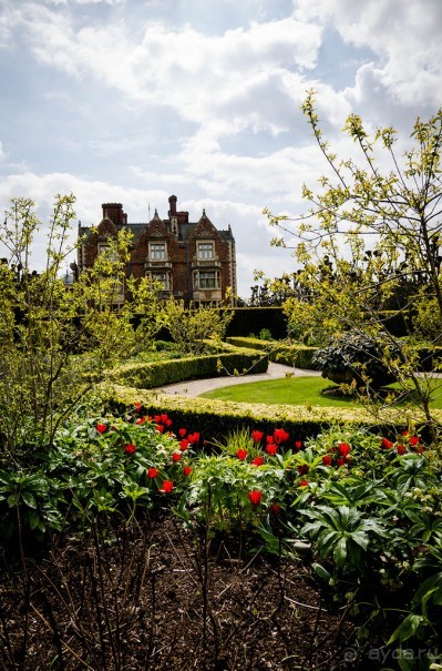 САНДРИНГАМ - ЦВЕТЫ И ПАРК