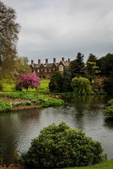 САНДРИНГАМ - ЦВЕТЫ И ПАРК