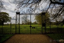 Альбом отзыва "САНДРИНГАМ - ЦВЕТЫ И ПАРК"