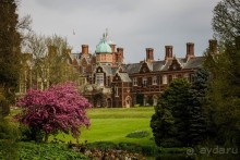 САНДРИНГАМ - ЦВЕТЫ И ПАРК