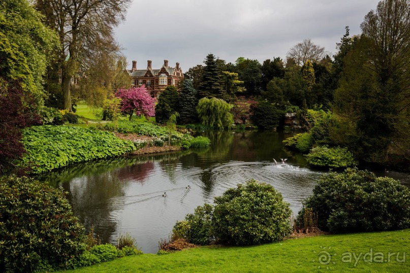 САНДРИНГАМ - ЦВЕТЫ И ПАРК