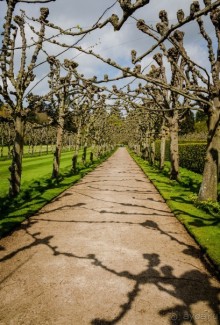 САНДРИНГАМ - ЦВЕТЫ И ПАРК
