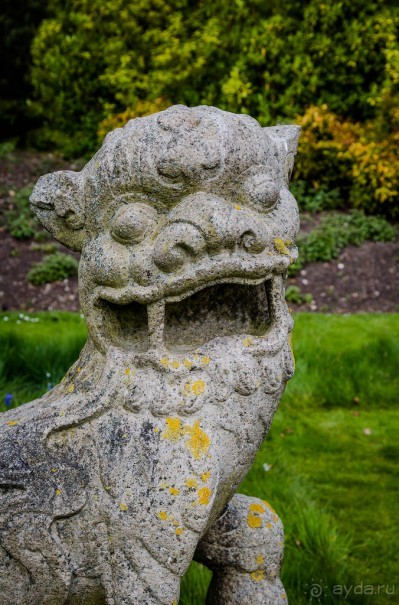 САНДРИНГАМ - ЦВЕТЫ И ПАРК