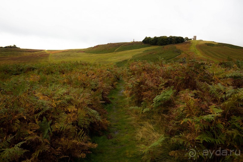 BRADGATE PARK В ОКТЯБРЕ и ОСЕНЬ В ГОРОДЕ