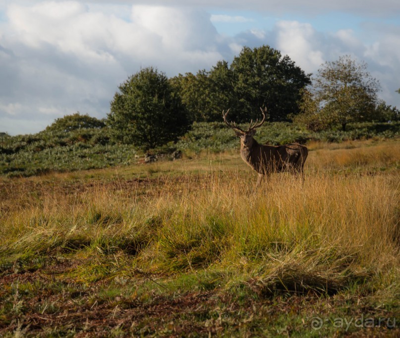 BRADGATE PARK В ОКТЯБРЕ и ОСЕНЬ В ГОРОДЕ