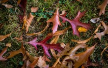BRADGATE PARK В ОКТЯБРЕ и ОСЕНЬ В ГОРОДЕ