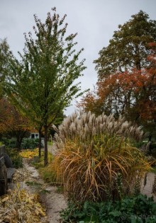 BRADGATE PARK В ОКТЯБРЕ и ОСЕНЬ В ГОРОДЕ