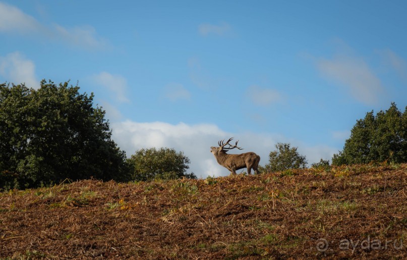 BRADGATE PARK В ОКТЯБРЕ и ОСЕНЬ В ГОРОДЕ