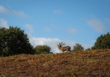 BRADGATE PARK В ОКТЯБРЕ и ОСЕНЬ В ГОРОДЕ