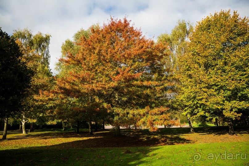 Альбом отзыва "BRADGATE PARK В ОКТЯБРЕ и ОСЕНЬ В ГОРОДЕ"