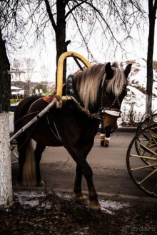 СУЗДАЛЬ ПОЗДНЕЙ ОСЕНЬЮ