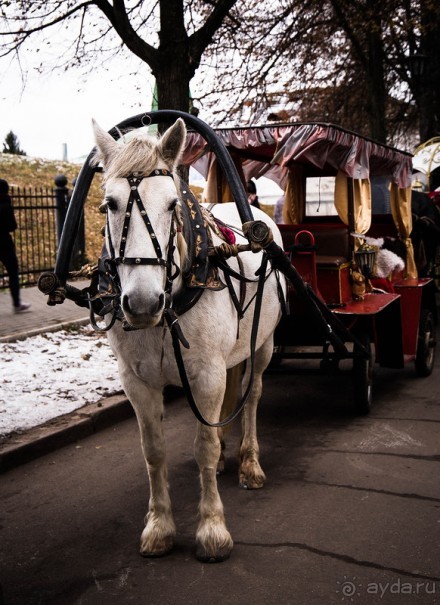 СУЗДАЛЬ ПОЗДНЕЙ ОСЕНЬЮ