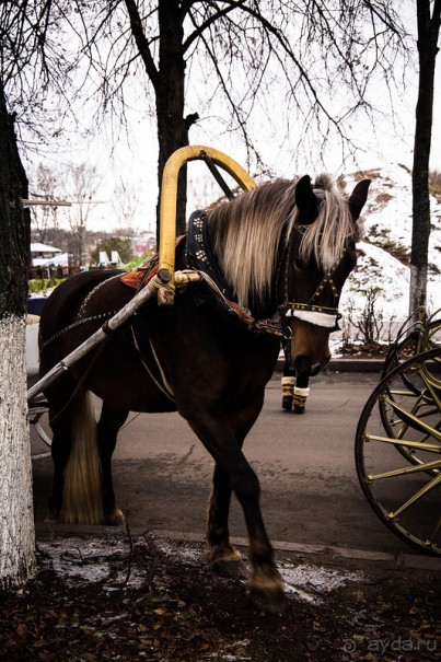 СУЗДАЛЬ ПОЗДНЕЙ ОСЕНЬЮ