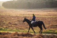 BRADGATE PARK В ЯНВАРЕ