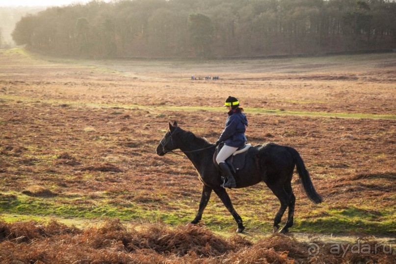 BRADGATE PARK В ЯНВАРЕ
