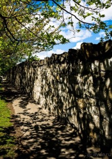 ДУБЛИН В МАЕ 2016