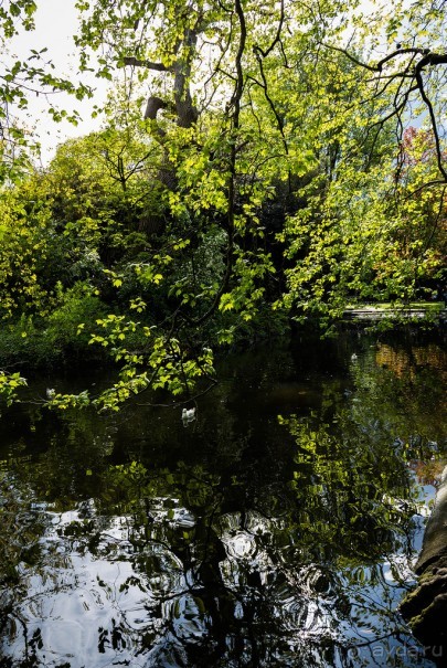 ДУБЛИН В МАЕ 2016