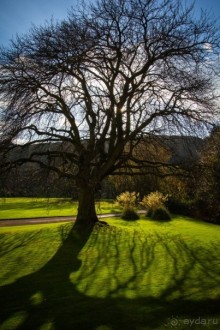 ЭДИНБУРГ В ПОГОЖИЙ ДЕНЬ В НАЧАЛЕ НОЯБРЯ