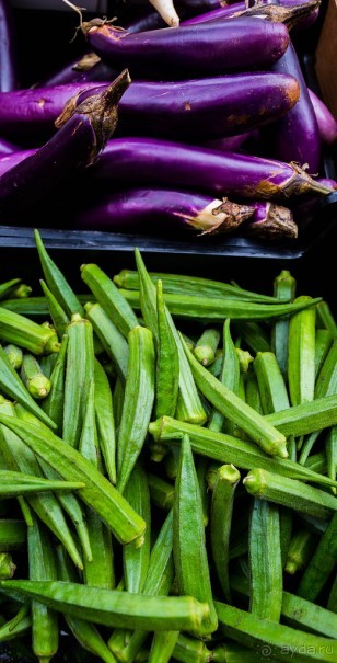 Альбом отзыва "RUGBY В НАЧАЛЕ МАРТА, ШКОЛА РАГБИ, ГДЕ РОДИЛАСЬ ЭТА ИГРА В 1823 ГОДУ"