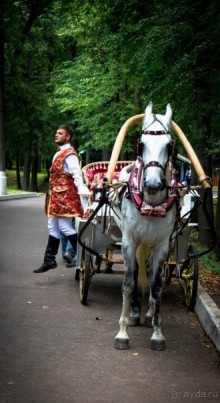 АРХАНГЕЛЬСКОЕ