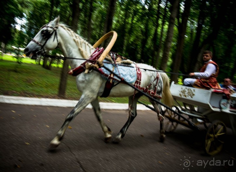 АРХАНГЕЛЬСКОЕ