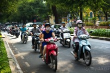 КОРОВЫ В КАМБОДЖЕ И МОТОЦИКЛИСТЫ В САЙГОНЕ