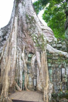 АНГКОР ВАТ- ТРИ ДНЯ В КАМБОДЖЕ - 3