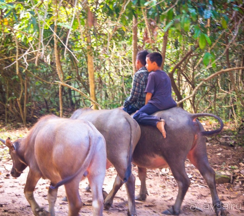 АНГКОР ВАТ- ТРИ ДНЯ В КАМБОДЖЕ - 3